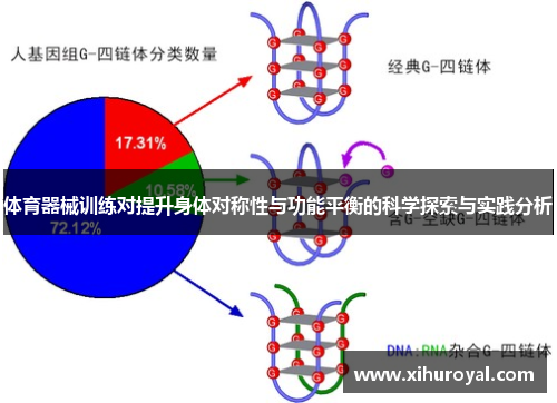体育器械训练对提升身体对称性与功能平衡的科学探索与实践分析