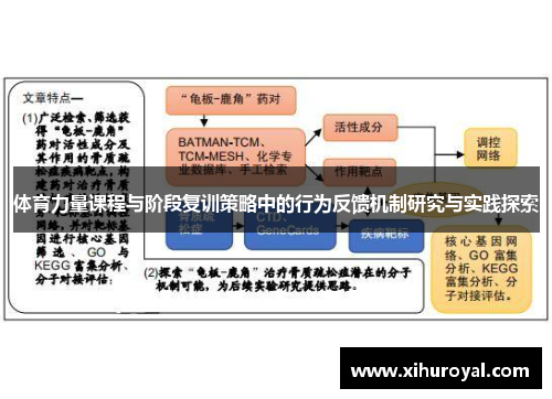 体育力量课程与阶段复训策略中的行为反馈机制研究与实践探索